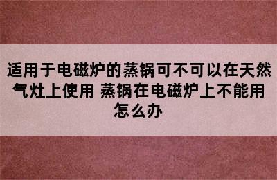 适用于电磁炉的蒸锅可不可以在天然气灶上使用 蒸锅在电磁炉上不能用怎么办